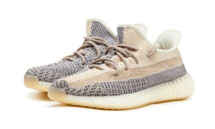Adidas Yeezy Boost 350 V2 Ash Pearl - vue 2
