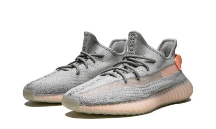 Adidas Yeezy Boost 350 V2 True Form - vue 2