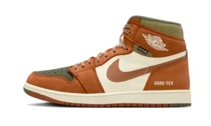 Air Jordan 1 Element Gore-Tex Tan Olive authentique