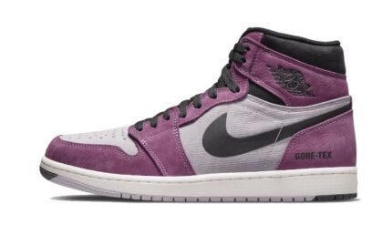 Air Jordan 1 High Element Gore-Tex Berry authentique