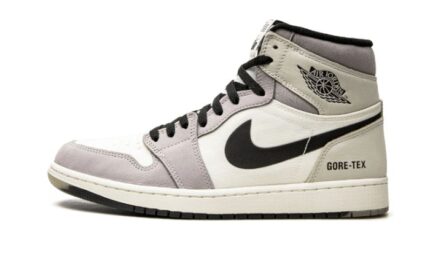 Air Jordan 1 High Element Gore Tex Light Bone authentique