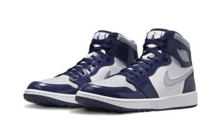Air Jordan 1 High Golf Midnight Navy - vue 2