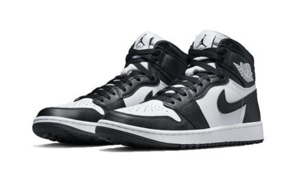Air Jordan 1 High Golf Panda - vue 2