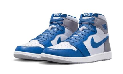 Air Jordan 1 High Retro OG True Blue - vue 2
