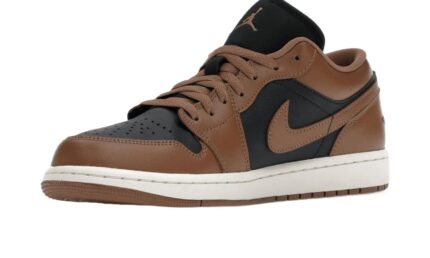 Air Jordan 1 Low Archaeo Brown - vue 2