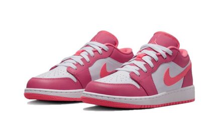 Air Jordan 1 Low Desert Berry - vue 2