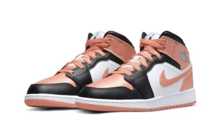 Air Jordan 1 Mid Light Madder Root - vue 2