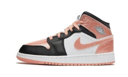 Air Jordan 1 Mid Light Madder Root authentique