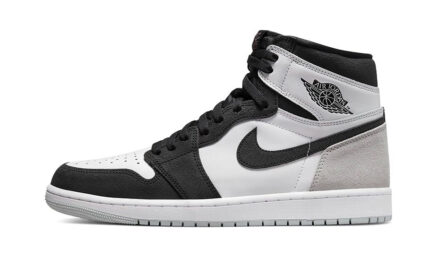Air Jordan 1 Retro High OG Bleached Coral authentique