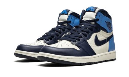 Air Jordan 1 Retro High OG Obsidian UNC 2019 - vue 2