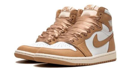 Air Jordan 1 Retro High OG Praline - vue 2