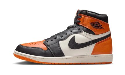 Air Jordan 1 Retro High OG Shattered Backboard (2025) authentique