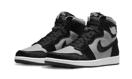 Air Jordan 1 Retro High OG Twist 2.0 - vue 2
