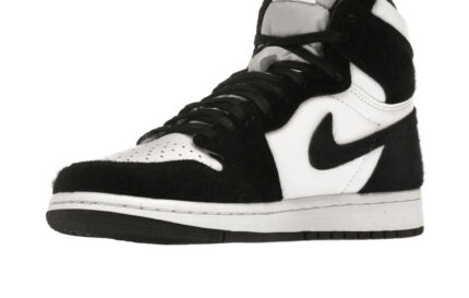 Air Jordan 1 Retro High Twist - vue 2
