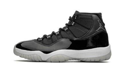 Air Jordan 11 Retro Jubilee 25th Anniversary authentique