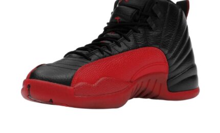 Air Jordan 12 Retro Flu Game (2025) - vue 2