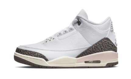 Air Jordan 3 Dark Mocha (Neapolitan) authentique