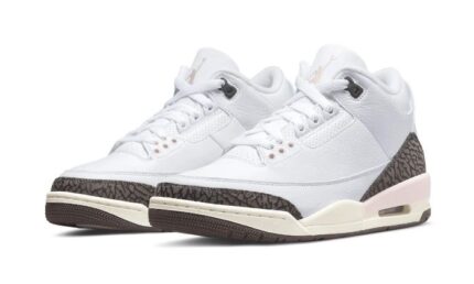 Air Jordan 3 Dark Mocha (Neapolitan) - vue 2