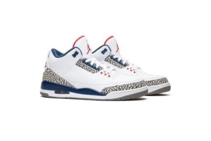Air Jordan 3 Retro True Blue (2016) - vue 2