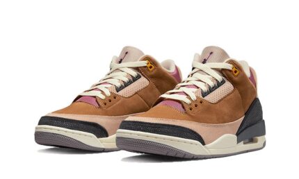 Air Jordan 3 Retro Winterized Archeo Brown - vue 2