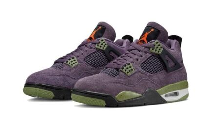 Air Jordan 4 Canyon Purple - vue 2