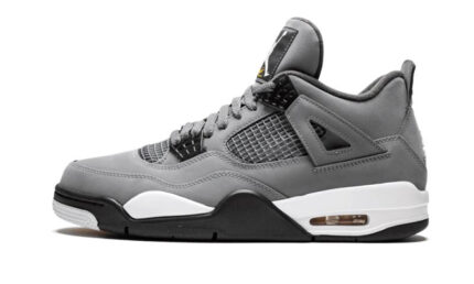 Air Jordan 4 Retro Cool Grey (2019) authentique