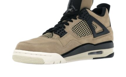 Air Jordan 4 Retro Fossil - vue 2