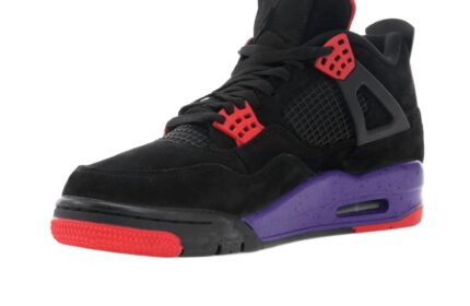 Air Jordan 4 Retro Raptors (2018) - vue 2