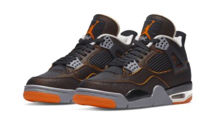 Air Jordan 4 SE Starfish - vue 2