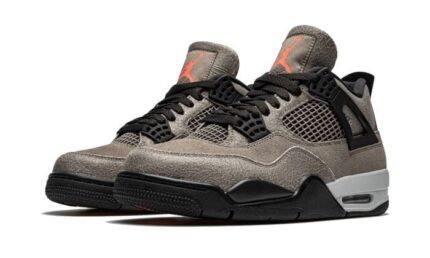 Air Jordan 4 Taupe Haze - vue 2
