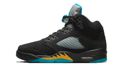 Air Jordan 5 Aqua authentique