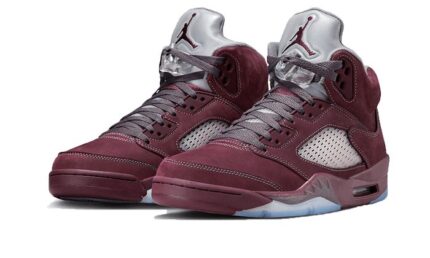 Air Jordan 5 Burgundy - vue 2