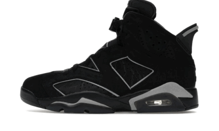 Air Jordan 6 Retro Cap and Gown authentique
