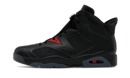 Air Jordan 6 Retro PRM Bin23 authentique