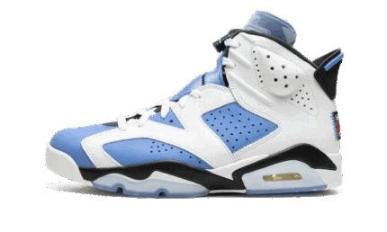Air Jordan 6 UNC authentique