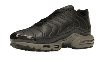 Nike Air Max Plus Premium Paris - vue 2