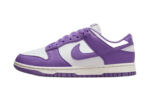 Dunk Low Next Nature Black Raspberry authentique