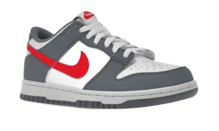 Dunk Low Next Nature Smoke Grey Light Crimson - vue 2