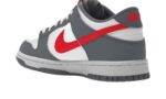 Dunk Low Next Nature Smoke Grey Light Crimson - vue 4