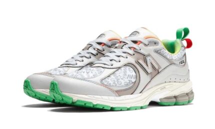 New Balance 2002R GANNI Rain Cloud - vue 2