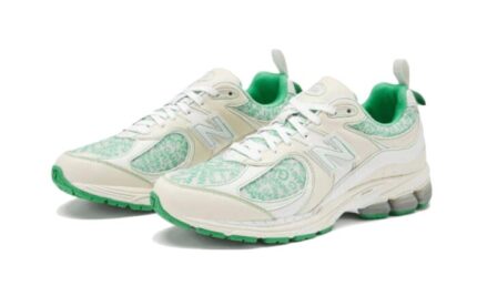 New Balance 2002R GANNI Turtledove - vue 2