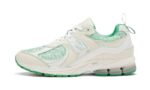 New Balance 2002R GANNI Turtledove authentique