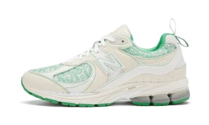 New Balance 2002R GANNI Turtledove authentique