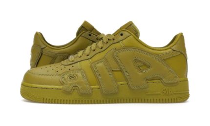Nike Air Force 1 Low Cactus Plant Flea Market Moss authentique