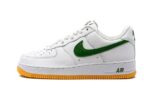 Nike Air Force 1 Low Color of the Month Forest Green authentique