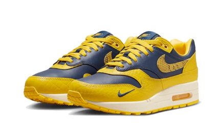 Nike Air Max 1 CO.JP Michigan - vue 2