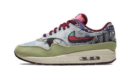 Nike Air Max 1 Concepts Mellow authentique