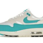 Nike Air Max 1 Dusty Cactus authentique