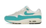 Nike Air Max 1 Dusty Cactus authentique