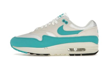 Nike Air Max 1 Dusty Cactus authentique